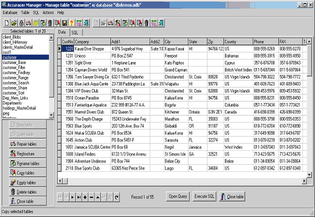 Accuracer Database System VCL 9.00 full