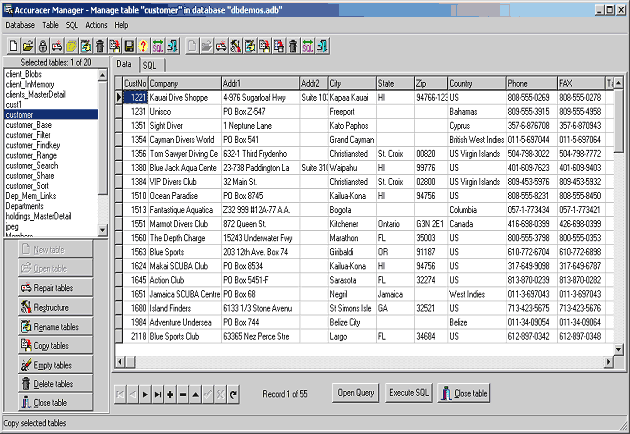 Screenshot of Accuracer Database System